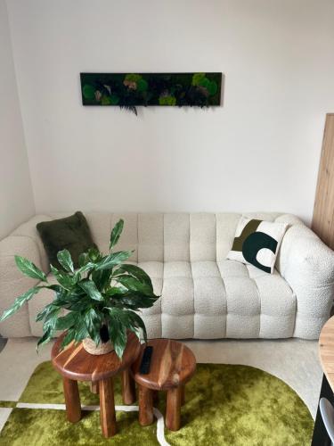 un salon avec un canapé et une plante en pot dans l'établissement Le Clair & Confort, au Mans