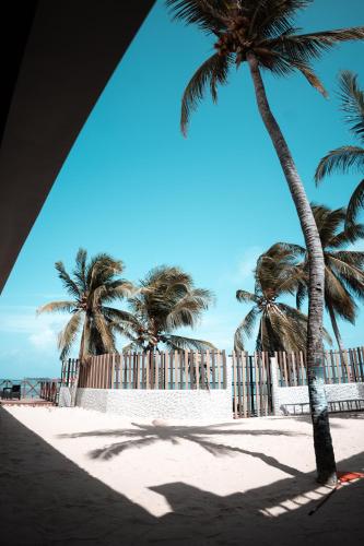 two palm trees on a beach with a fence at Mangrove Bay Hotel San Andrés Islas in San Andrés