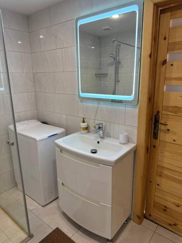 a bathroom with a sink and a toilet and a mirror at Apartamentai Renata in Druskininkai