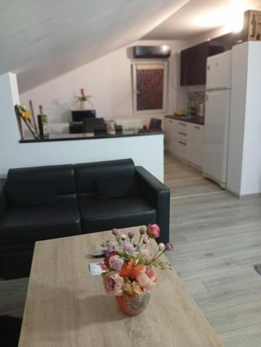 Kuchyň nebo kuchyňský kout v ubytování pensiune Elena, apartament, Iulius Mall