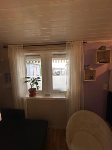 a window with a potted plant in a room at 3 roms 10 km fra Tromsø sentrum in Tromsø