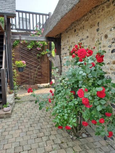 a garden with red roses and a stone wall at La Griotte & Spa&Piscine in Pennedepie