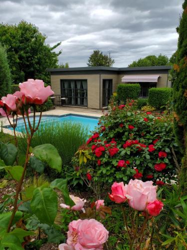 a garden with pink roses and a swimming pool at La Griotte & Spa&Piscine in Pennedepie