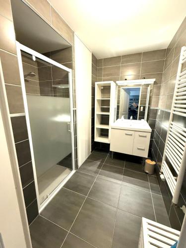 une salle de bain avec une douche, un lavabo et un miroir dans l'établissement Appartement T2 Cosy, à Villette-dʼAnthon
