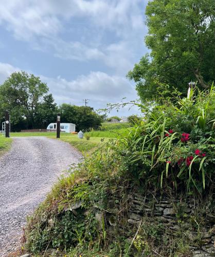 a dirt road with flowers on the side of it at Seaview Retreat & Sauna at An Acre By The Sea in Clonakilty