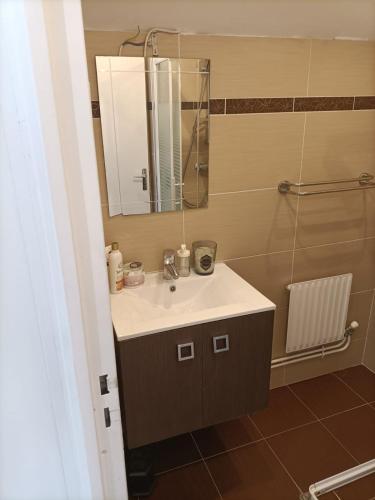 une salle de bain avec un lavabo et un miroir dans l'établissement Station House - Maison entre Disneyland et Paris, à Roissy-en-Brie