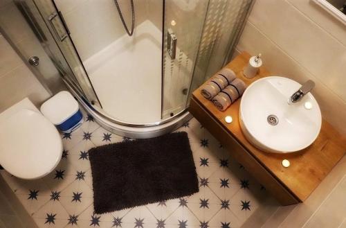 a bathroom with a sink and a shower and a toilet at Hostel Temza in Zagreb