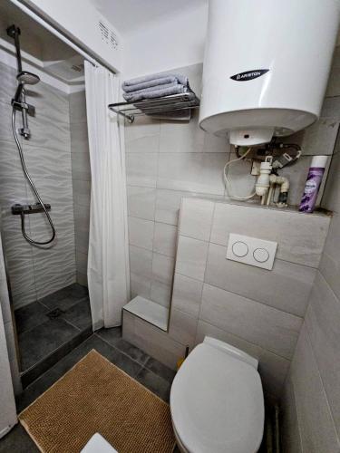 une petite salle de bain avec toilettes et douche dans l'établissement Provence apartments, à Aix-en-Provence