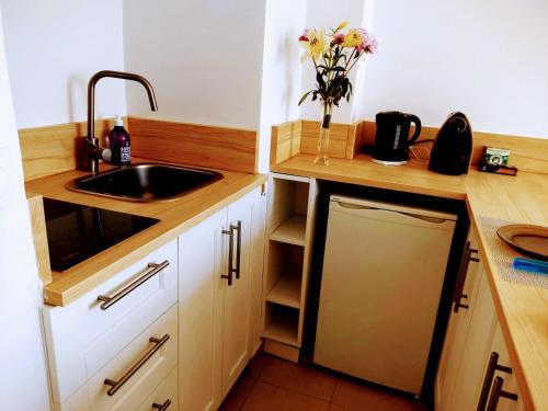 - une cuisine avec un évier et un vase de fleurs dans l'établissement Provence apartments, à Aix-en-Provence