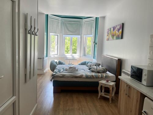 a small bedroom with a bed and a window at Livada Studio Apartments in Braşov