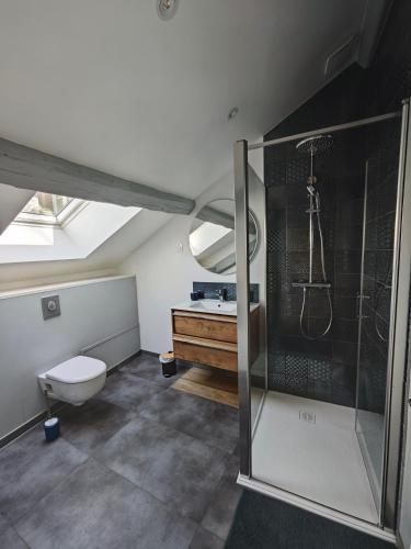 une salle de bain avec une douche, des toilettes et un lavabo dans l'établissement Appartement de charme à Amboise face à la Loire, à Amboise