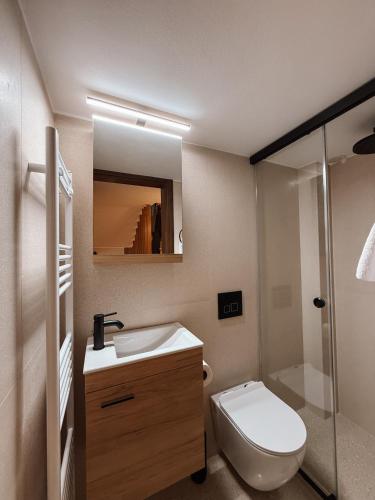 a bathroom with a toilet and a sink and a shower at Casa Lignum in Metsovo