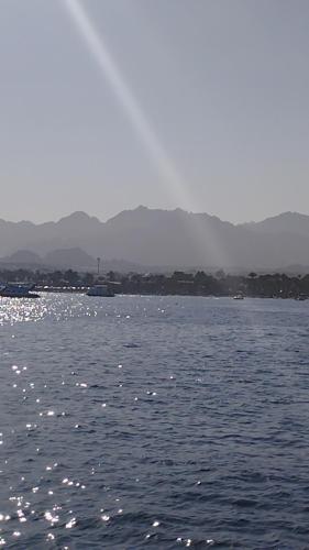 a large body of water with mountains in the background at Naama wiew- Alle due palme in Sharm El Sheikh