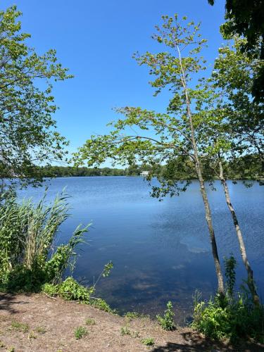 una vista de un lago entre dos árboles en 67 Lake House, en Patchogue
