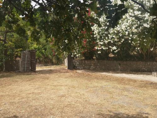Κήπος έξω από το Agriturismo "Donna Cettina" - Suite per gli ospiti