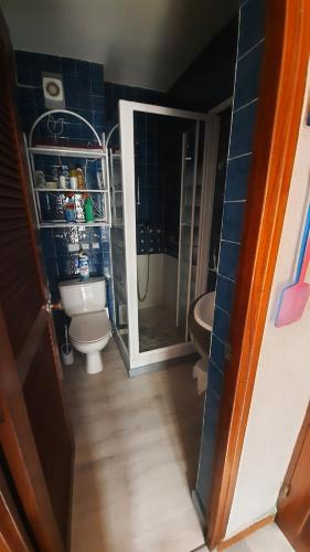 une salle de bain avec toilettes, lavabo et miroir dans l'établissement Les Marines 2, au Barcarès