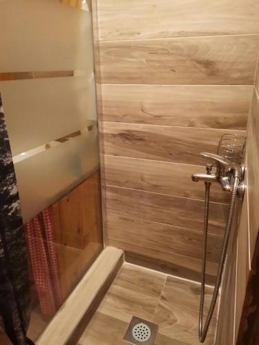 a bathroom with a shower with a wooden wall at Planinska kuća BRDO in Zlobin