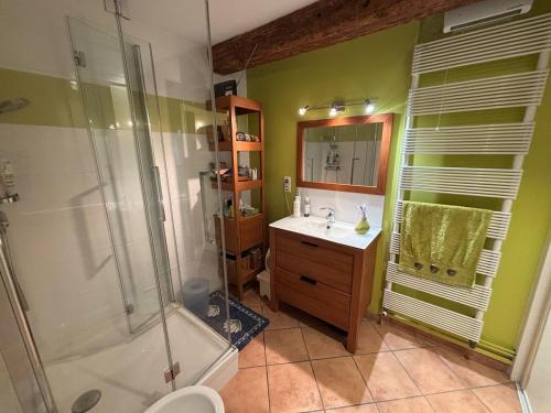 une salle de bain avec une douche, un lavabo et des toilettes dans l'établissement Belle maison de Village, à Baziège