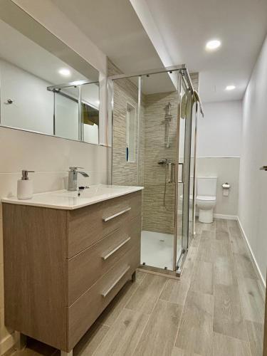 a bathroom with a sink and a shower and a toilet at Apartamentos do porto Malpica in Malpica