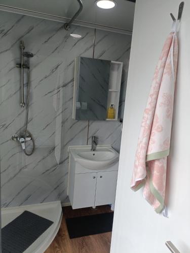 a bathroom with a sink and a mirror at Róisín's Country cabin in Milltown Malbay