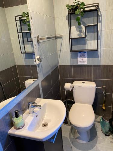 a bathroom with a toilet and a sink at DorJan - Pokoje Gościnne in Dziwnówek