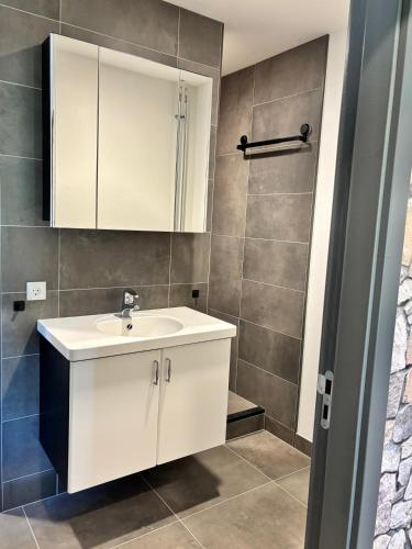 a bathroom with a white sink and a shower at Vakantiewoning Korenburgerveen 't Voorde in Winterswijk