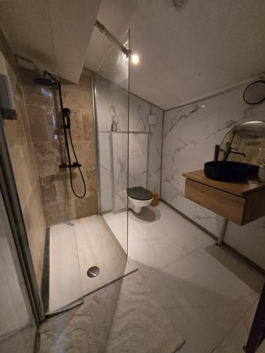 une salle de bain avec une douche avec une porte vitrée dans l'établissement Studio relax maisdon, à Maisdon-sur-Sèvre