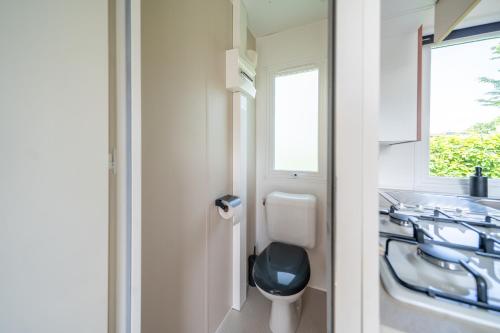a bathroom with a toilet and a sink and a window at Am See 90 in Seekirchen am Wallersee