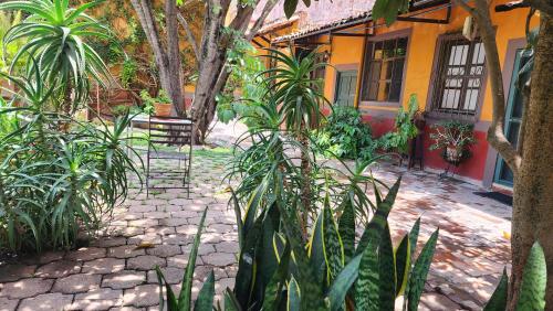 a courtyard of a house with plants in front of it at Hotel Sautto in San Miguel de Allende