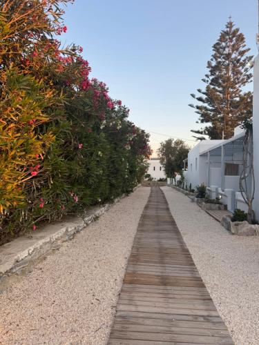 Flisvos beach studios