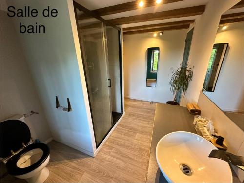 une salle de bain avec un lavabo, des toilettes et un miroir dans l'établissement Maison au calme, à Saint-Sulpice-le-Dunois
