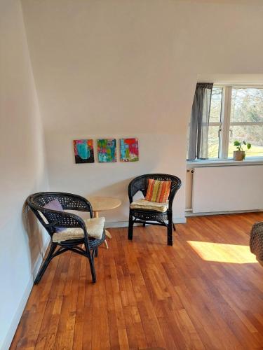 two chairs and a table in a living room at Kongsø Bed & Breakfast in Bryrup