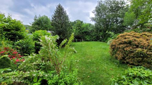 a garden with green grass and bushes and trees at Wohnung in Datteln in Datteln