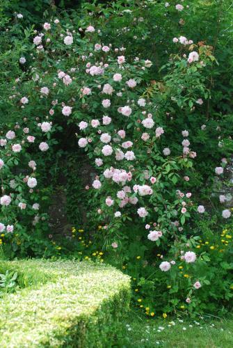 Gîte de charme & jardin exceptionnel à 800 m de la merにある庭