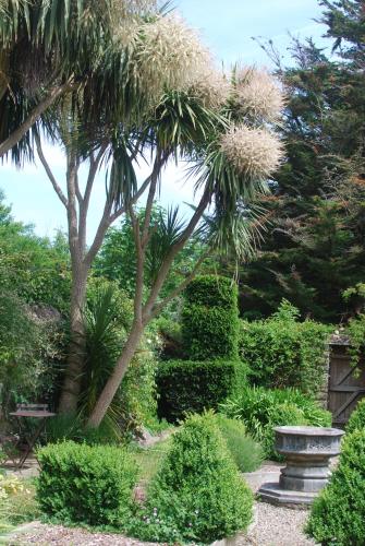 Gîte de charme & jardin exceptionnel à 800 m de la merにある庭