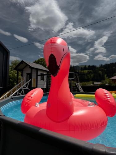 a red inflatable swan in a swimming pool at Weekend house in Verkhovyna