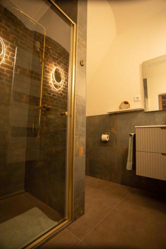 a shower with a glass door in a bathroom at De Schroer in Wahlwiller