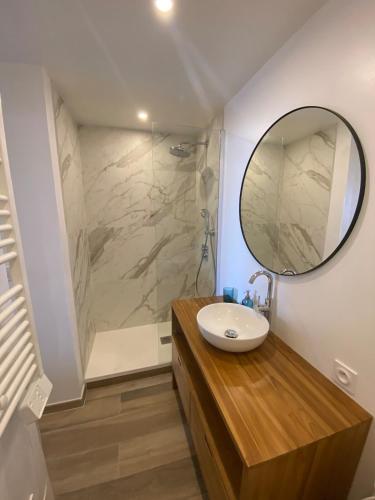 une salle de bain avec un lavabo et un miroir dans l'établissement Studio vue mer au Mont des Oiseaux à Hyères, à Hyères