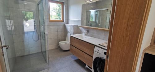 une salle de bain avec douche, lavabo et toilettes dans l'établissement Apartment Ratek, à Ivanjkovci