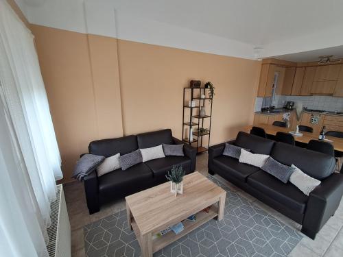 Ruang duduk di Sunrise Apartman Dunaszentmiklós