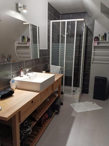 une salle de bain avec un lavabo blanc et une douche dans l'établissement Chez Thierry et Vero, à Moncé-en-Belin