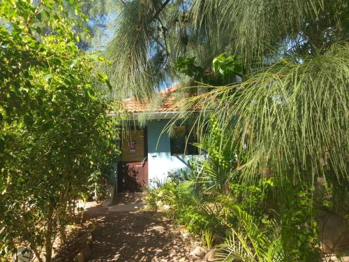 a house with a blue door in the middle of trees at Moony’s Chalets & Camping in Catembe