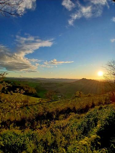 a view of the sun setting over a vineyard at Il nido in collina Bertinoro in Bertinoro