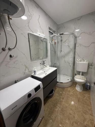a bathroom with a shower toilet and a washing machine at Apartment Anna-Nikola Igalo in Igalo