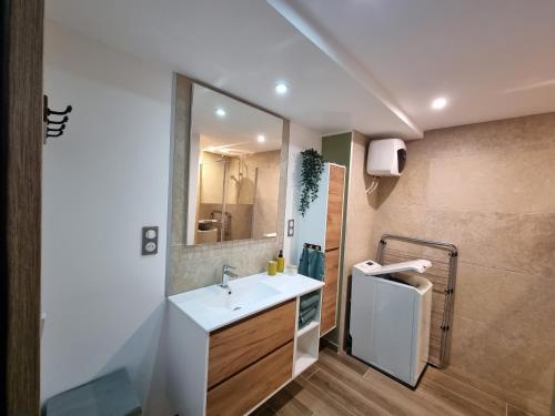 une salle de bain avec un lavabo et un miroir dans l'établissement Appartement Duplex les Cerisiers - Bilhac, à Polignac