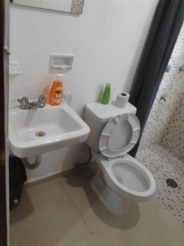 a bathroom with a white toilet and a sink at Apartamentos Cupules in Mérida