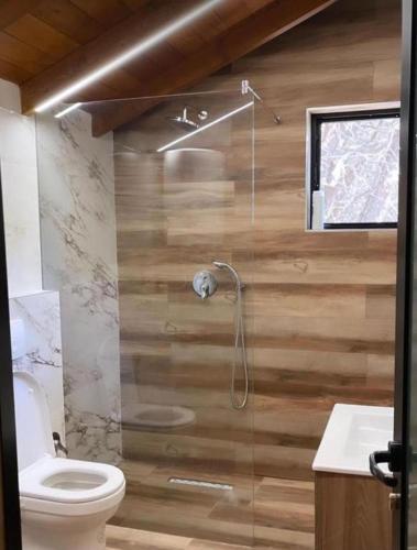 a bathroom with a shower and a toilet at Mikpritja Velipoje 2 in Velipojë