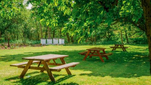 three picnic tables in the grass under a tree at Morup Mølle Kro in Bedsted Thy