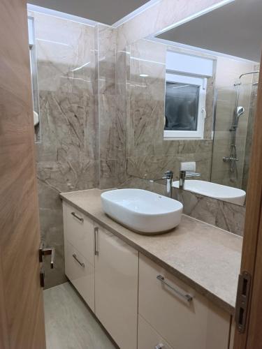 a bathroom with a white sink and a mirror at Villa Nature Sarajevo in Sarajevo
