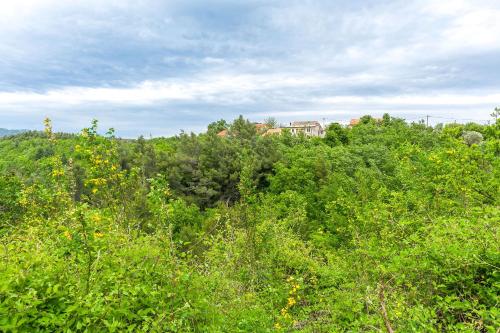 a house on top of a hill with trees at Apartment Green view in Slime